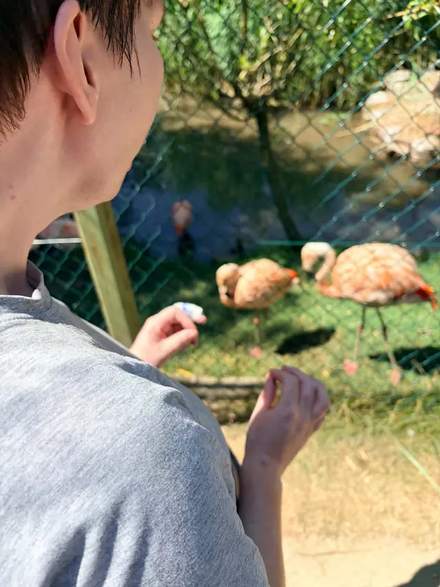 Visite au parc animalier
