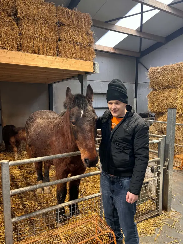 Sortie à la ferme