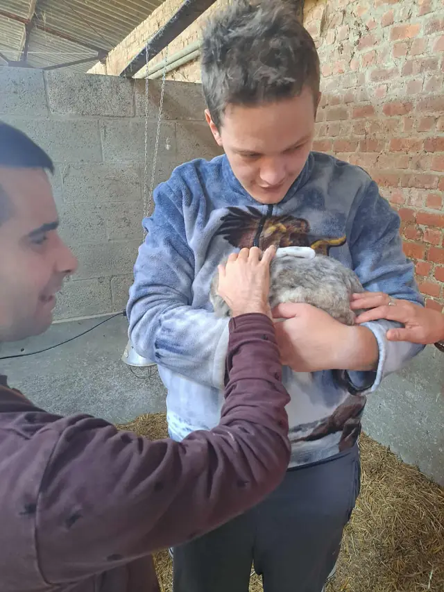 Sortie à la ferme