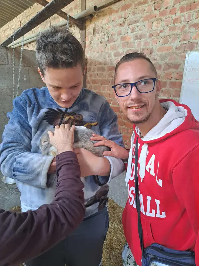 Sortie à la ferme