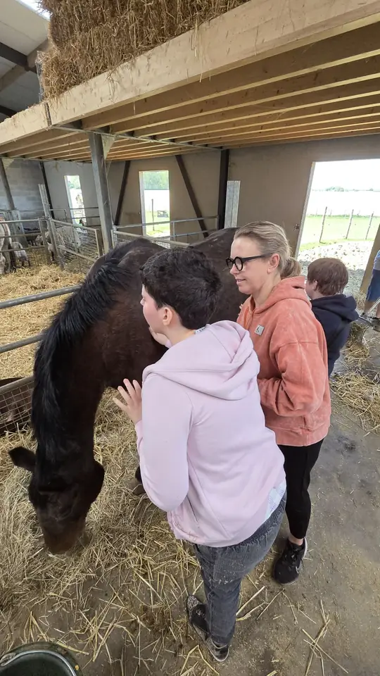 Sortie à la ferme