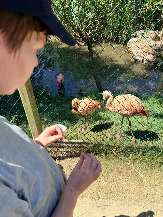 Visite au parc animalier