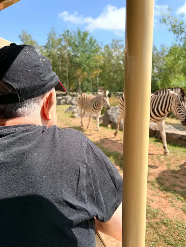 Visite au parc animalier